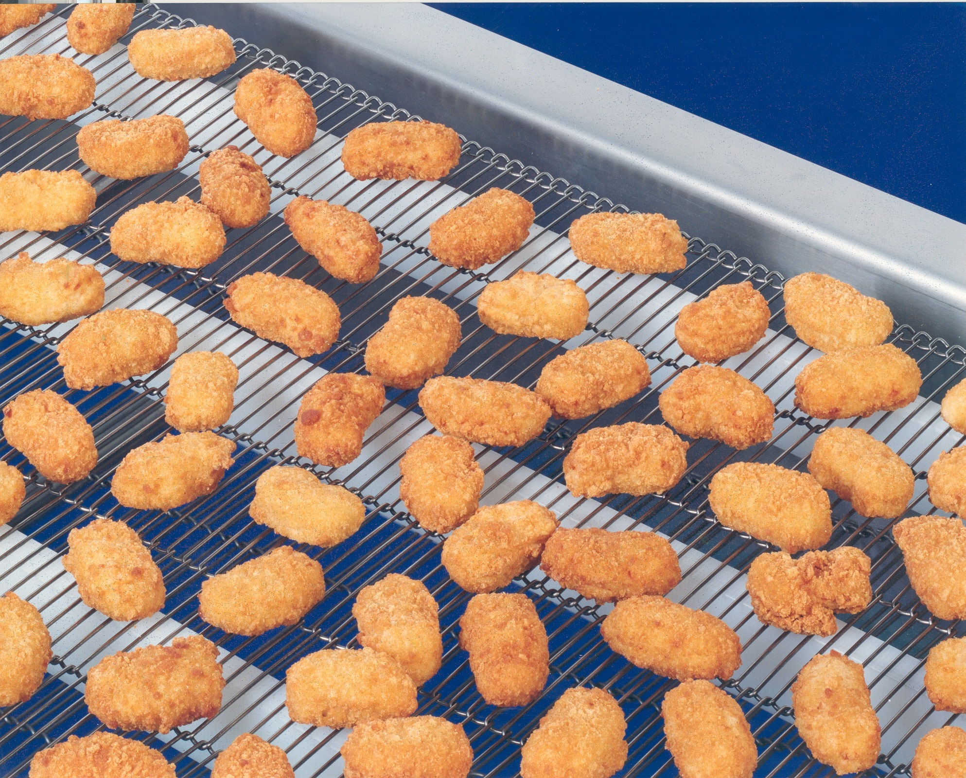Flat-Flex<sup>®</sup> Conveyor Applications